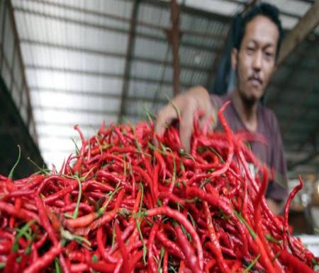 Ilustrasi harga cabai merah Bukittingi alami penurunan harga di Pekanbaru (foto/int)